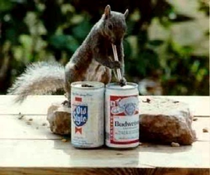 squirrelswirl