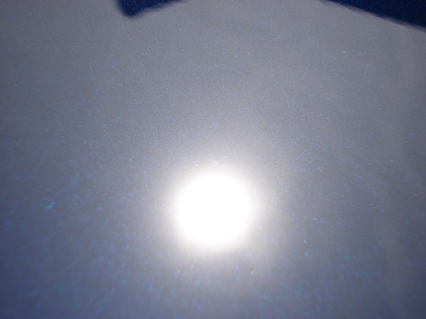 SSR_trials_19_