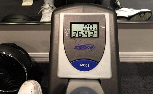 Stamina Air Rower