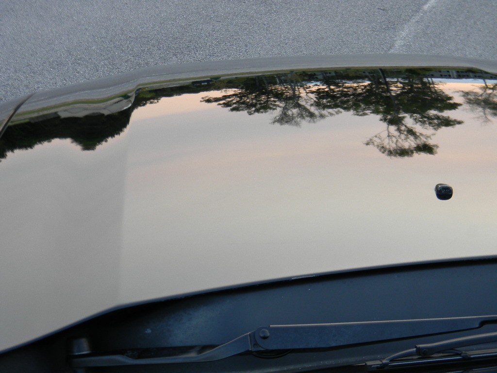 'Stang At Sunset