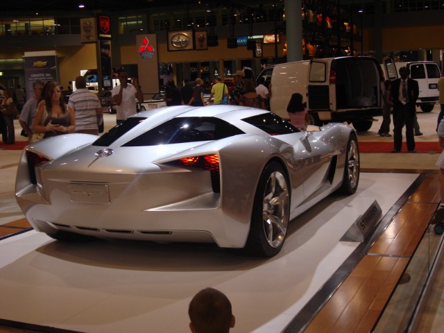 Stingray Rear