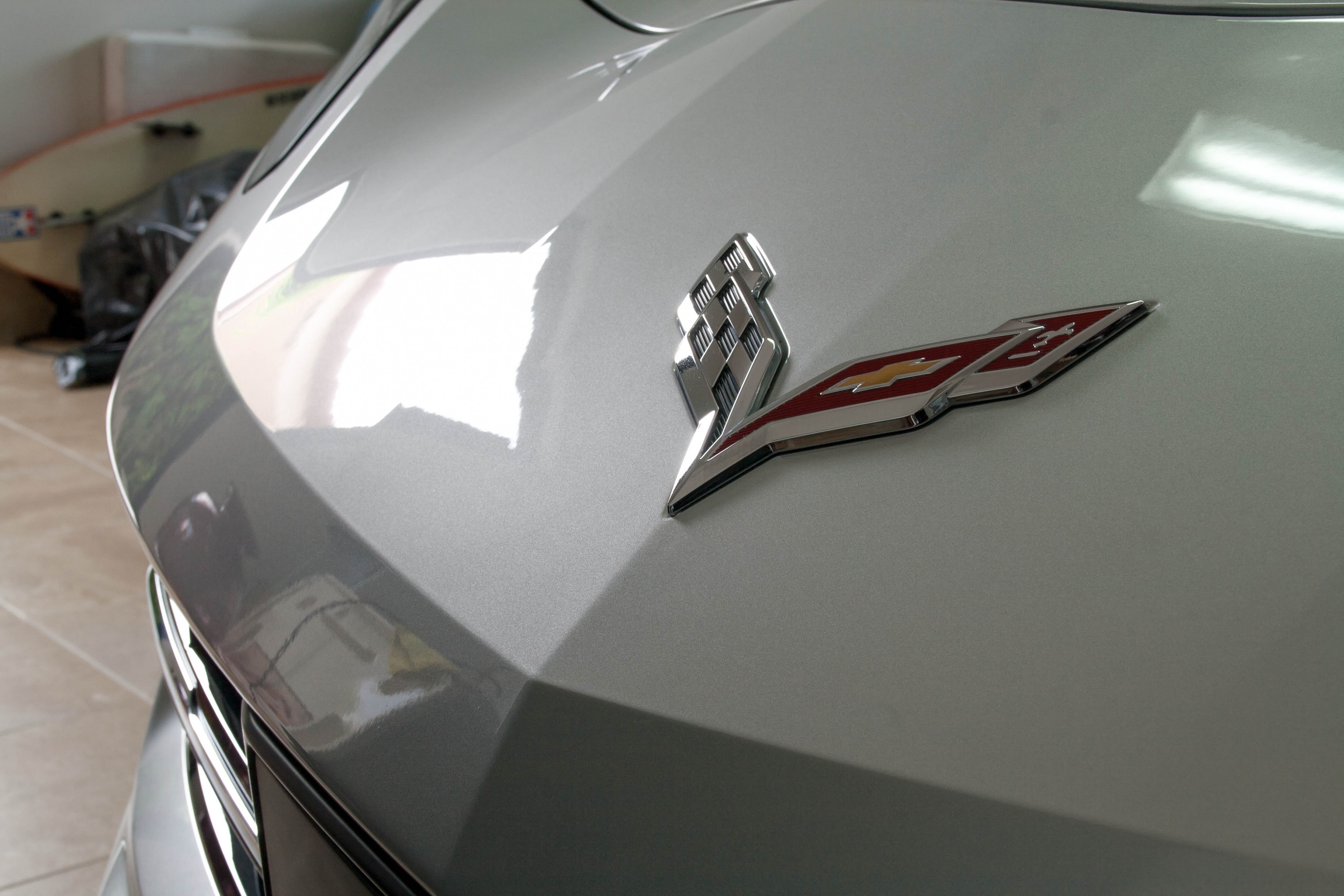stingray_-3