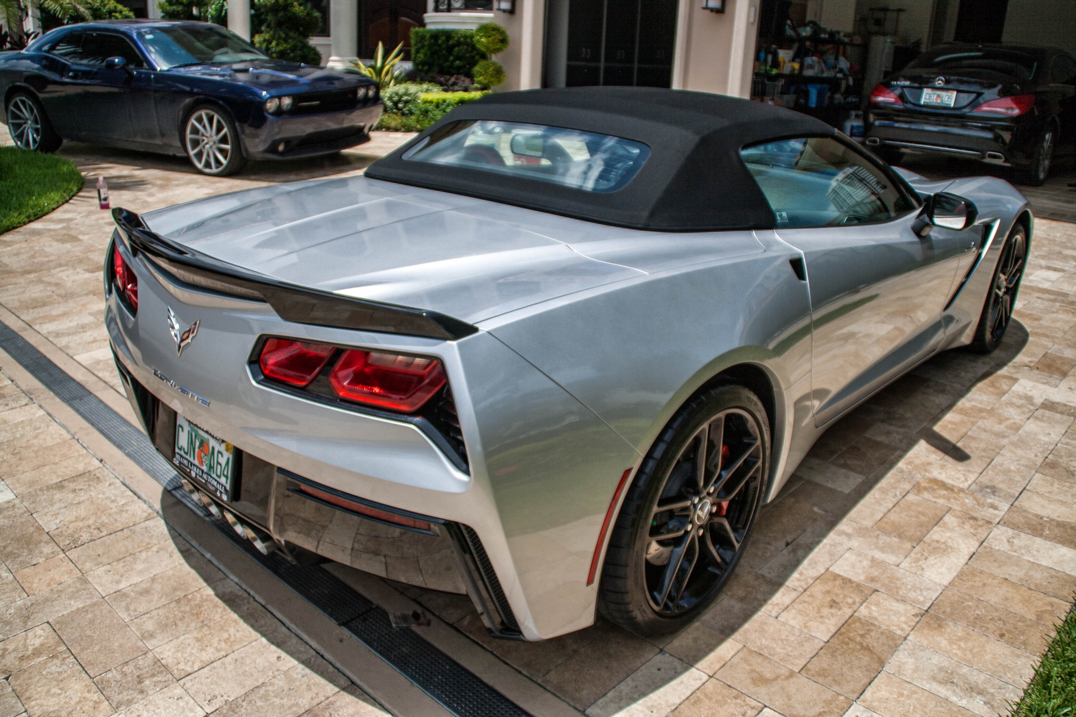stingray_-6