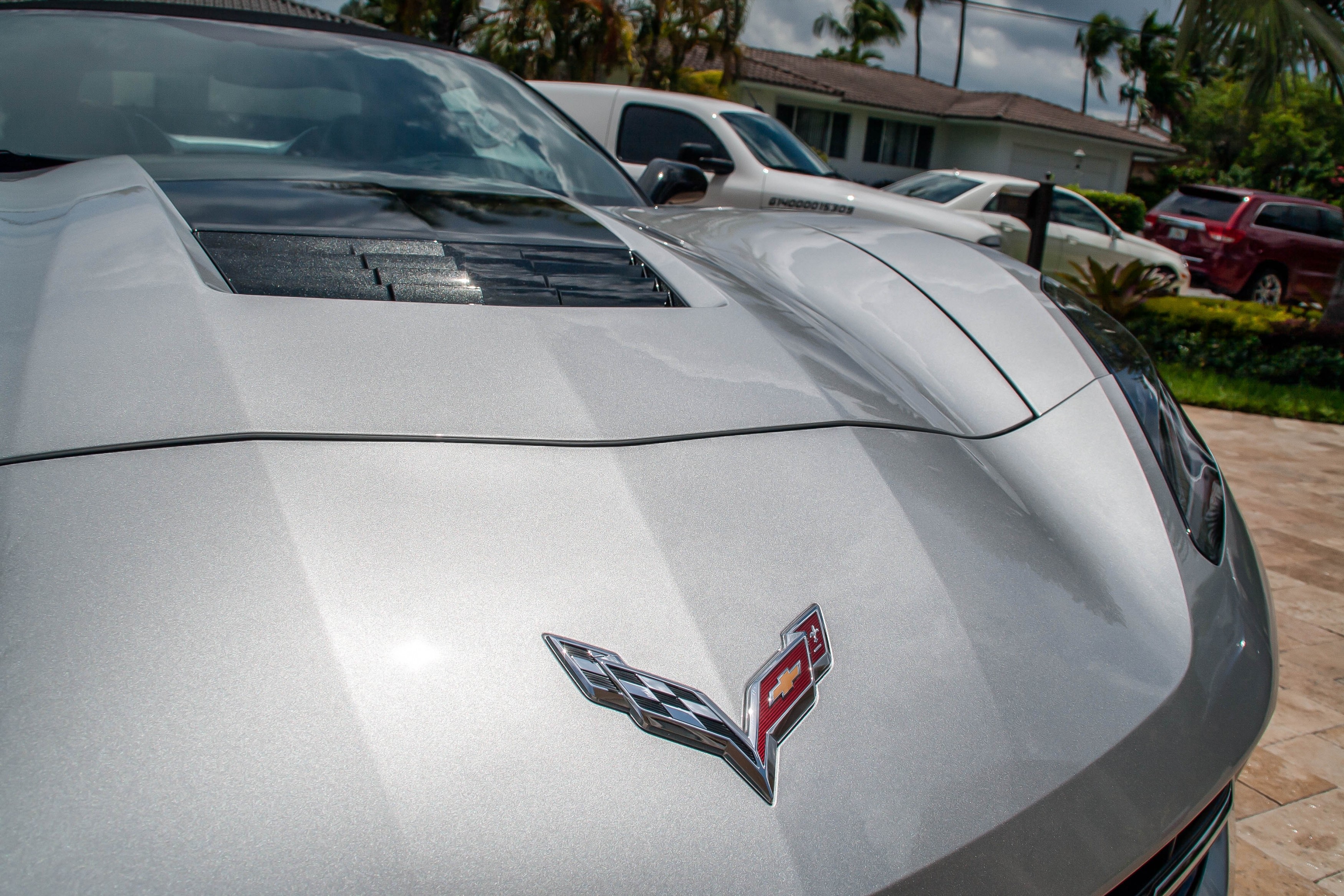 stingray_-7