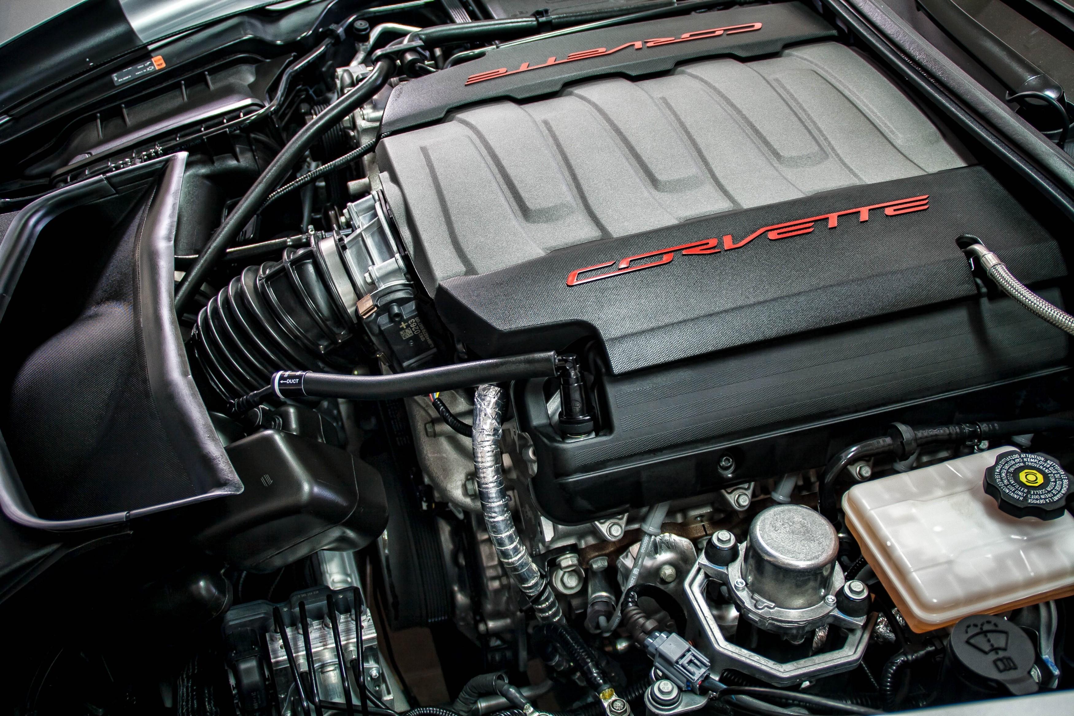 stingray_engine