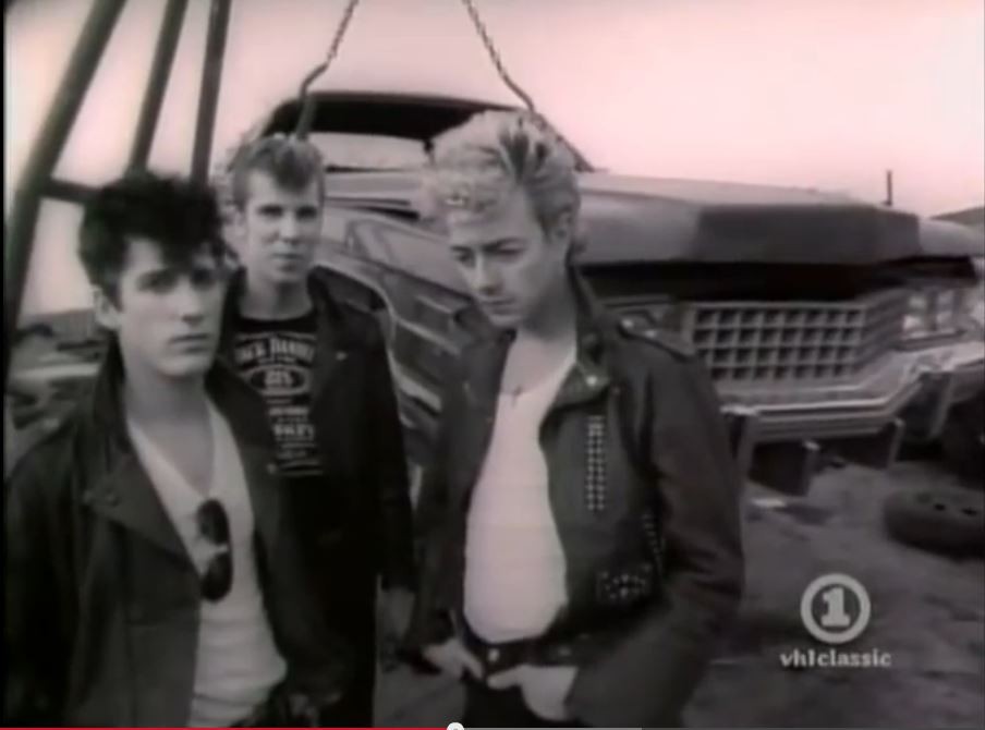 stray_cats