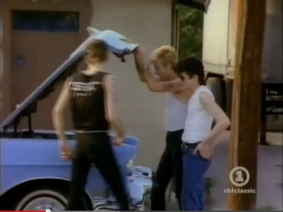 stray_cats_2