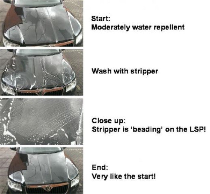 Stripper_on_polymer2