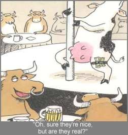 StripperCows