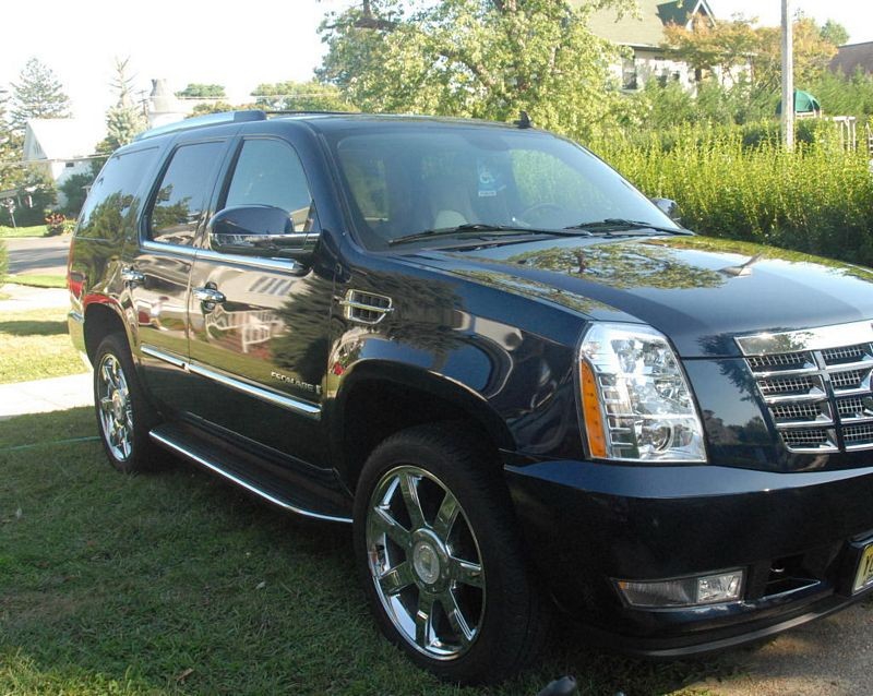 Stu's Escalde