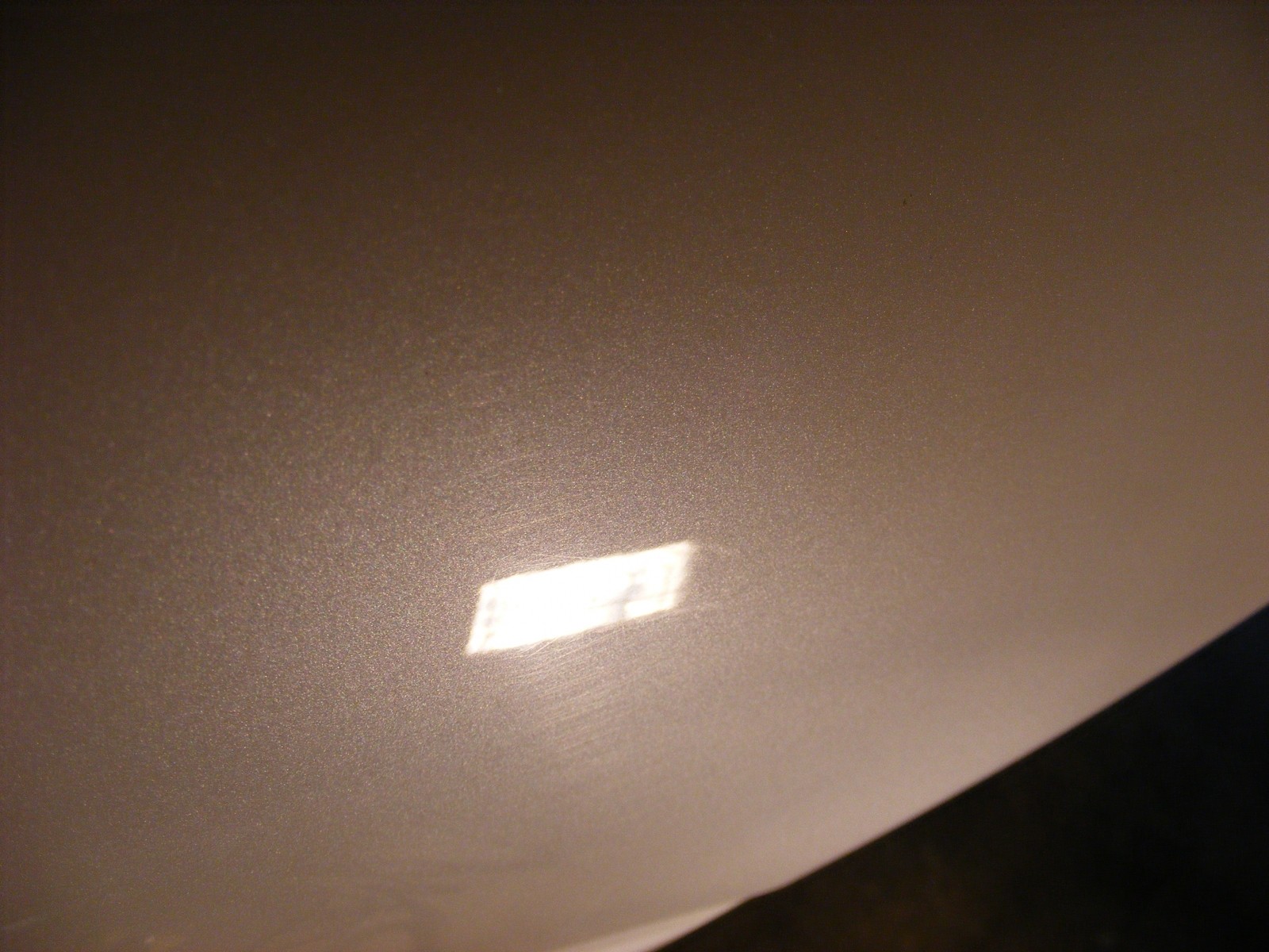 Swils in fender