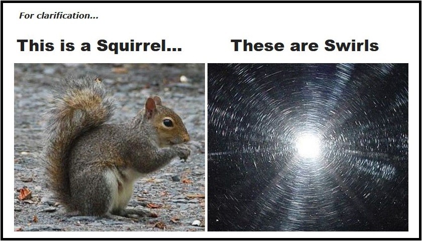 Swirls and Squirrels Mike Phillips