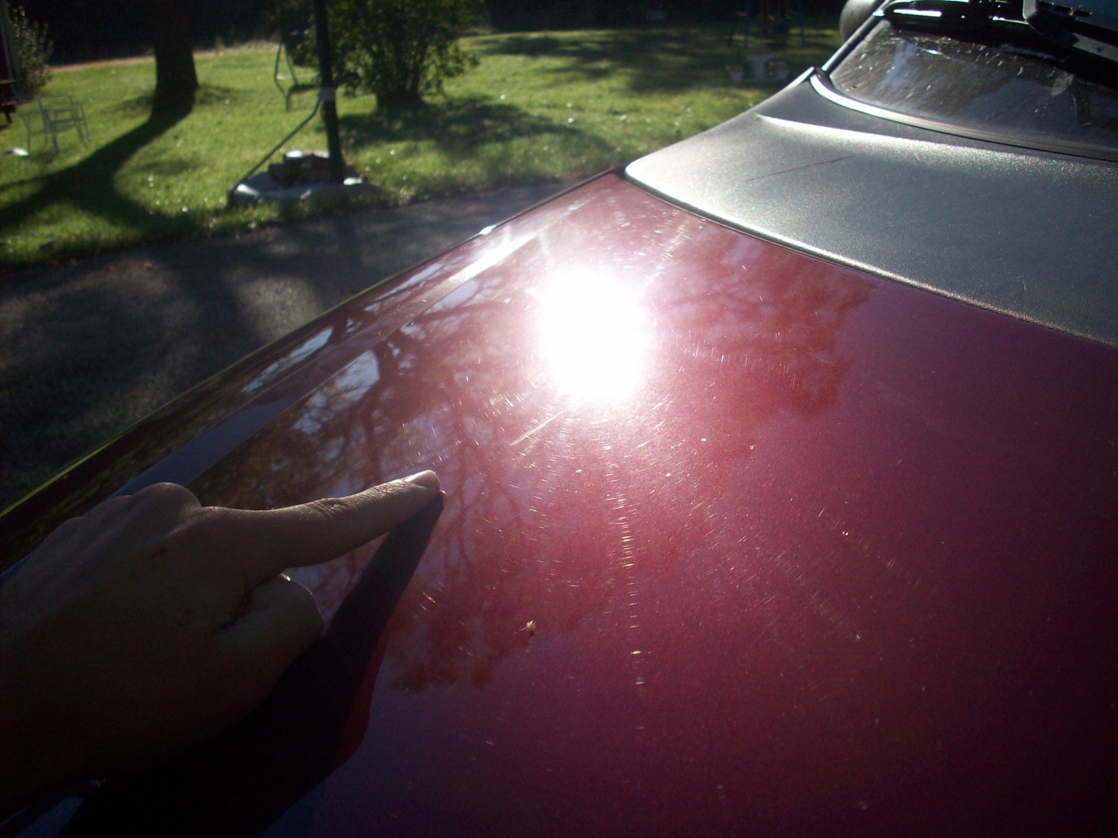 Swirls on the Van Hood in the Mid-morning Sun