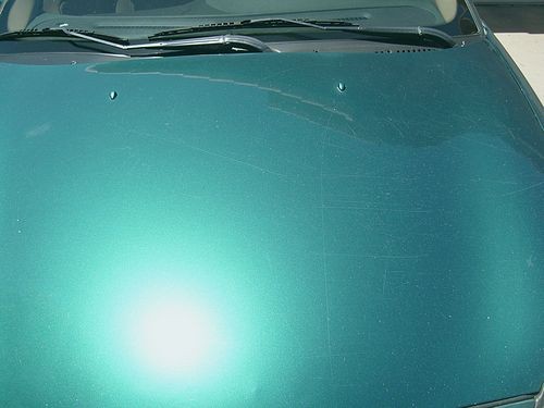Taurus Hood 2