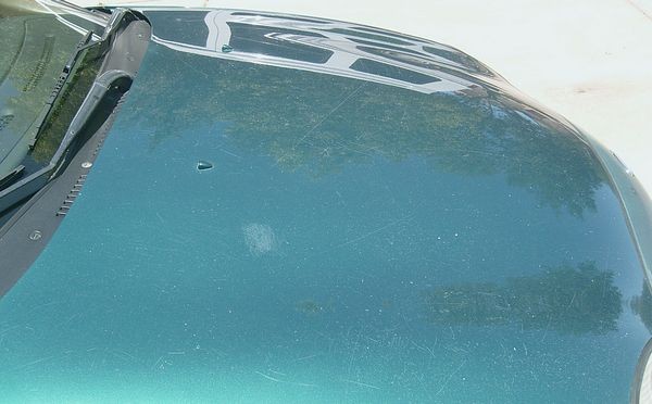 Taurus Hood 3