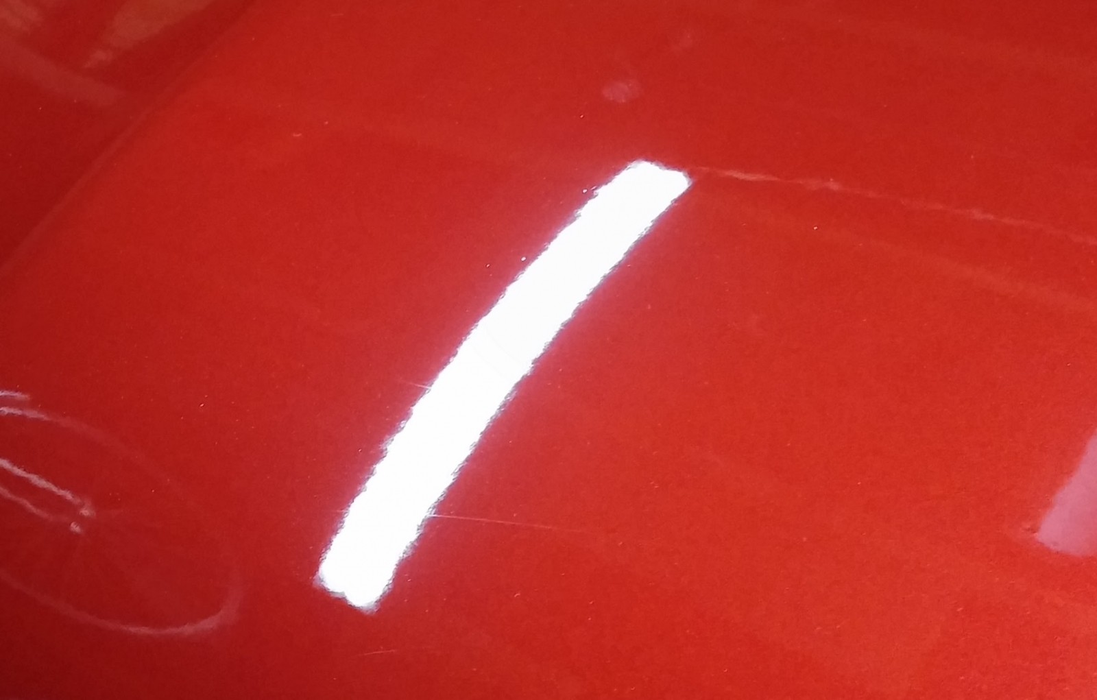 Taurus Hood
