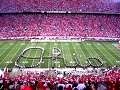 TBDBITL