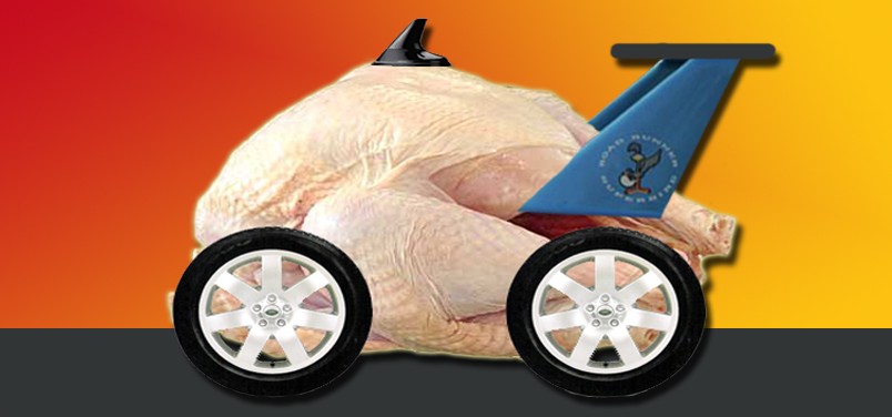 Ten-Auto-Turkeys