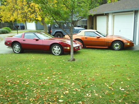 The Toys