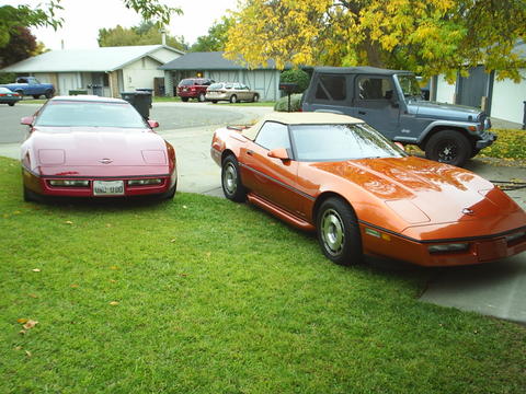 The Toys
