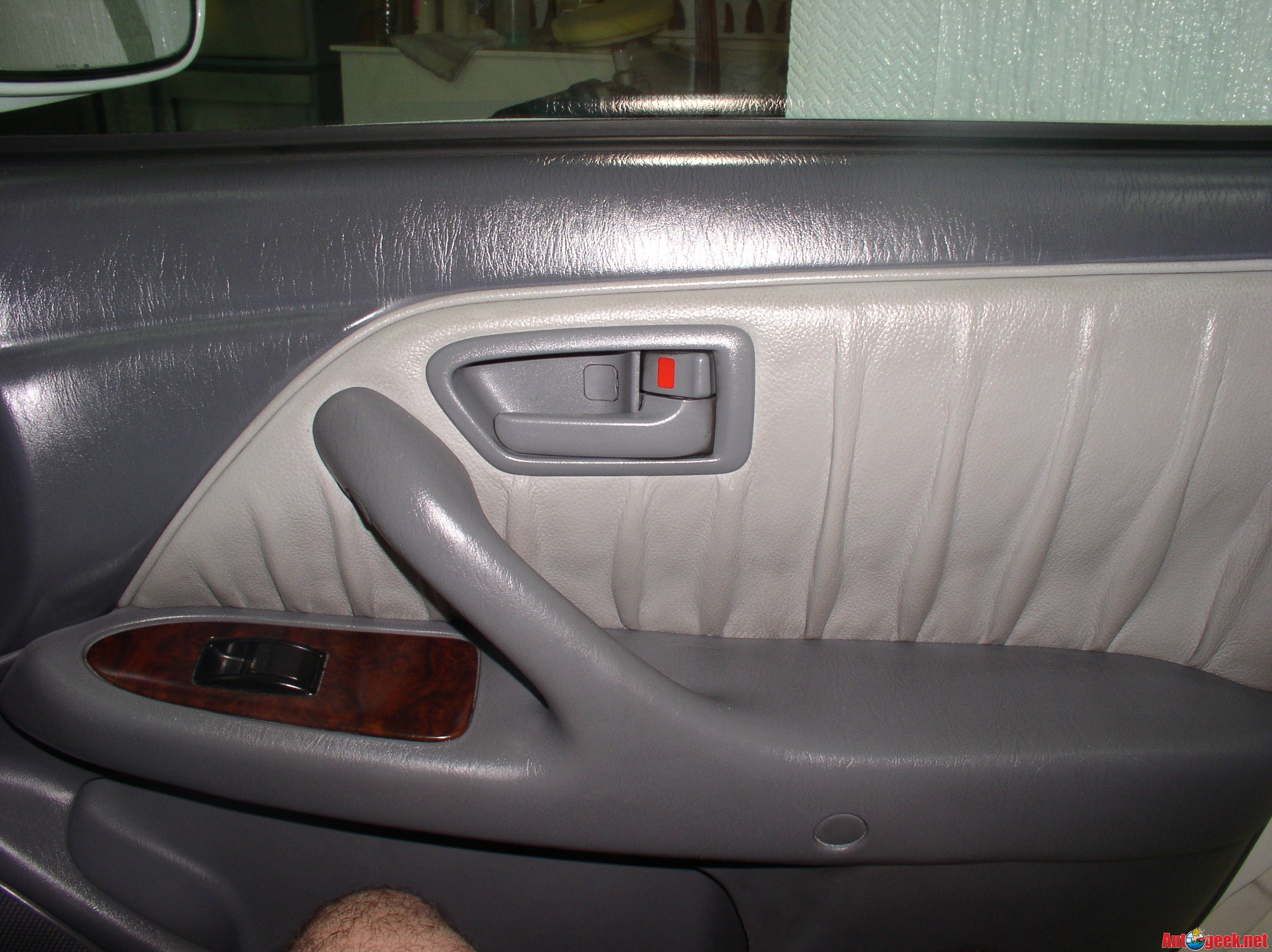 The_Door_with_my_Hairy_Knee