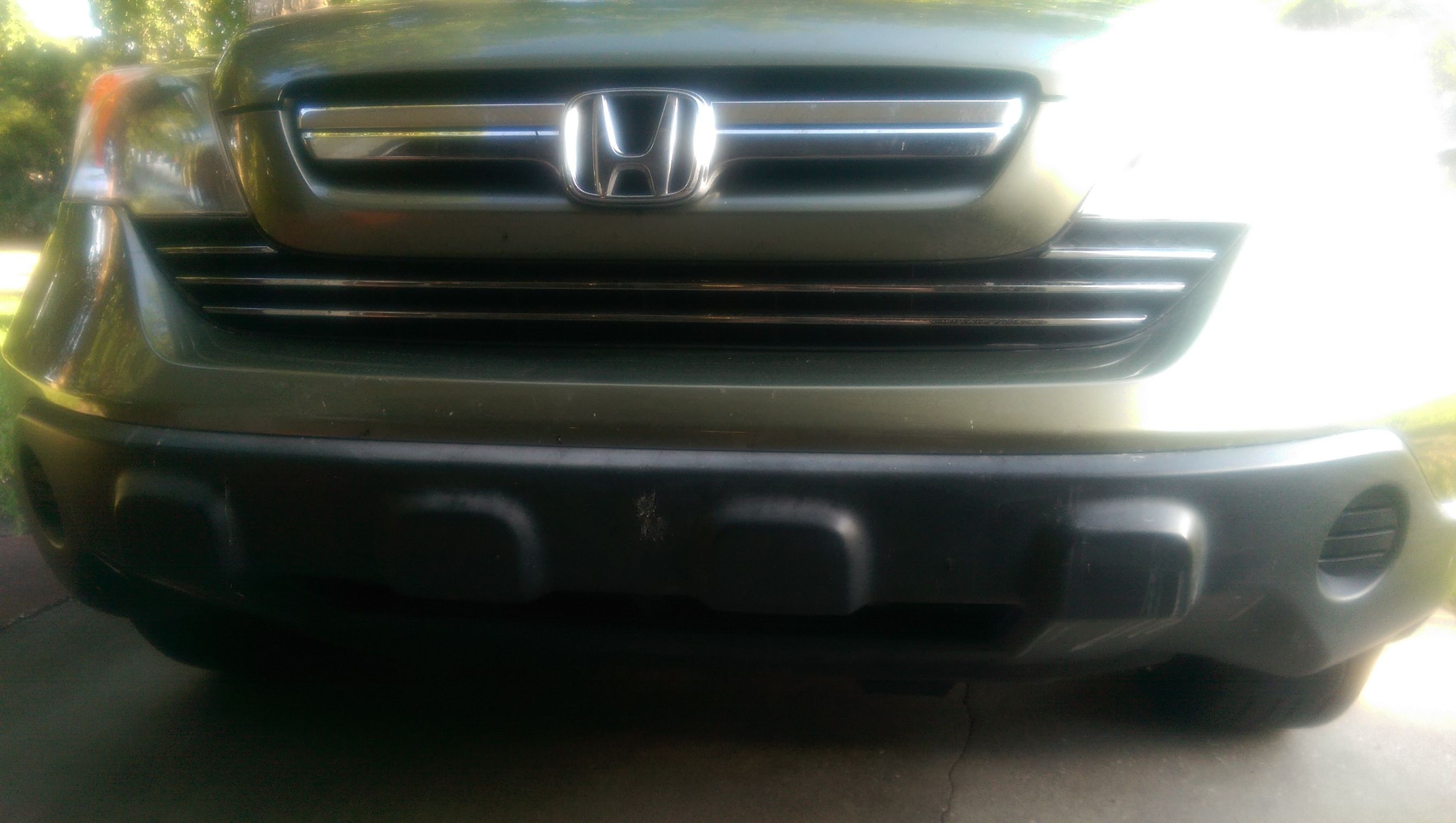 tn_bumper_bugs_before