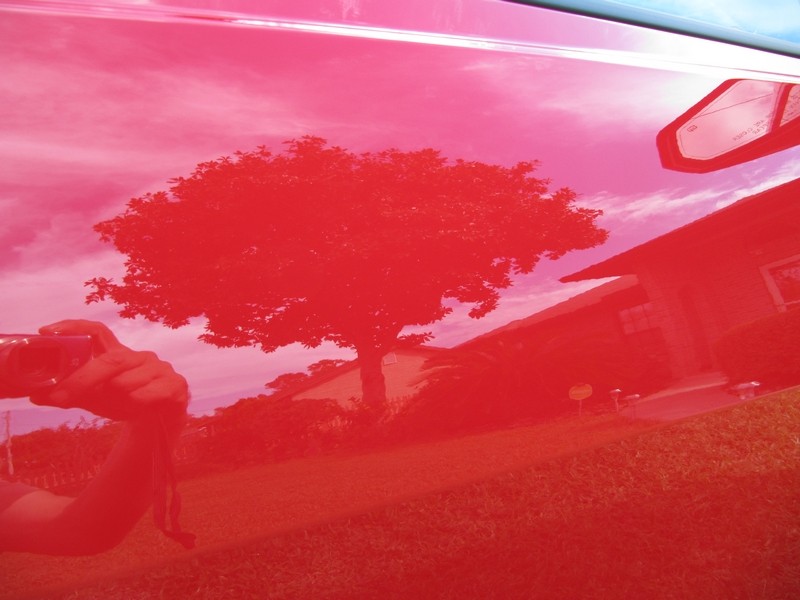 tn_camaro_018
