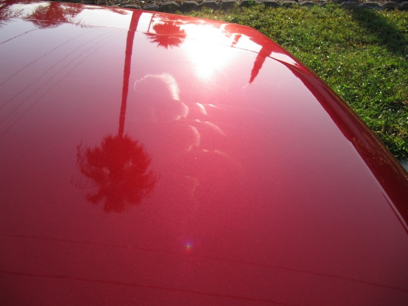 tn_Copy_of_primo_wax_pic_005