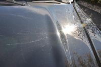 tn_DSC_0001