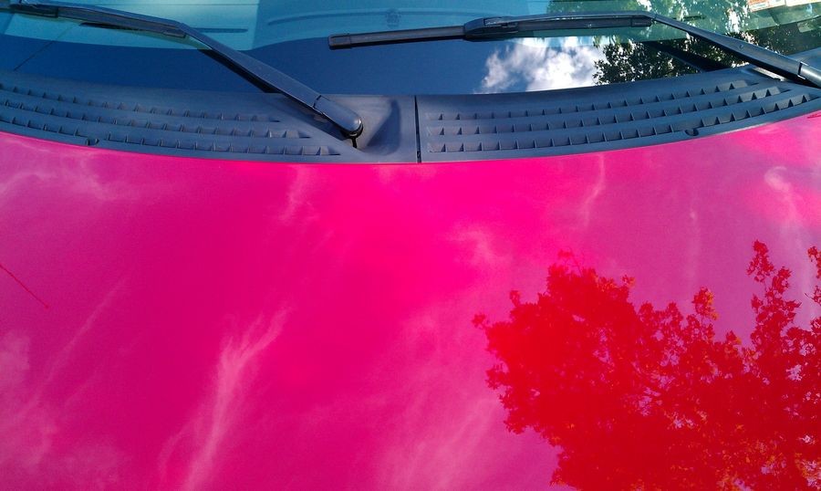tn_IMAG0685