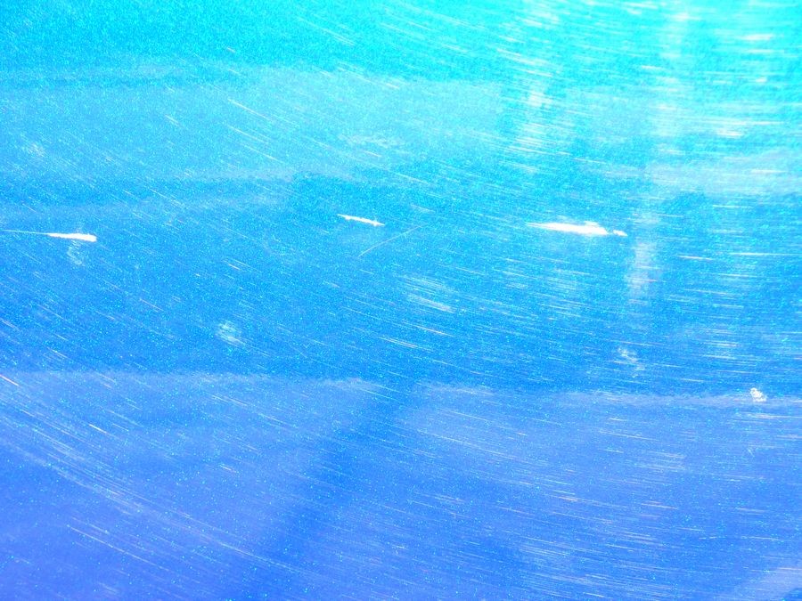 tn_P1000424