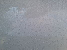tn_photo_1