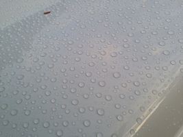 tn_photo_2