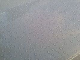 tn_photo_3