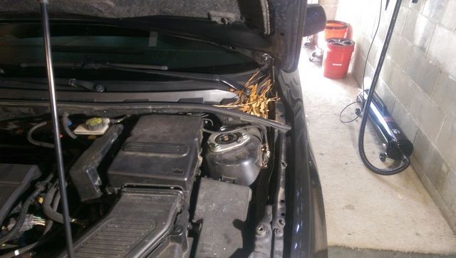 tn_under_hood_2_before
