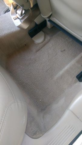 tn_wet_area