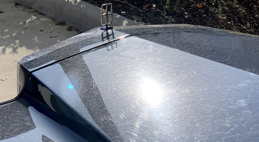 Training Cars for May 2021 Mike Phillips Detailing Class