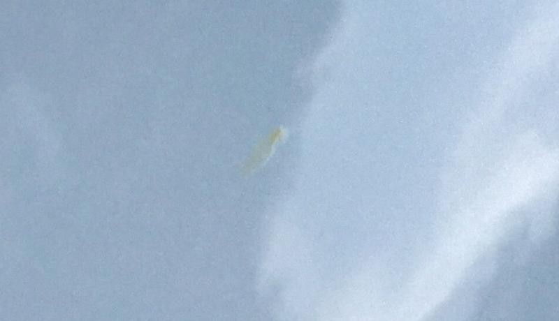 Tree Sap Stain on Lexus car paint autogeek