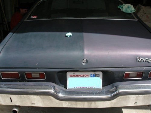 Trunk Half