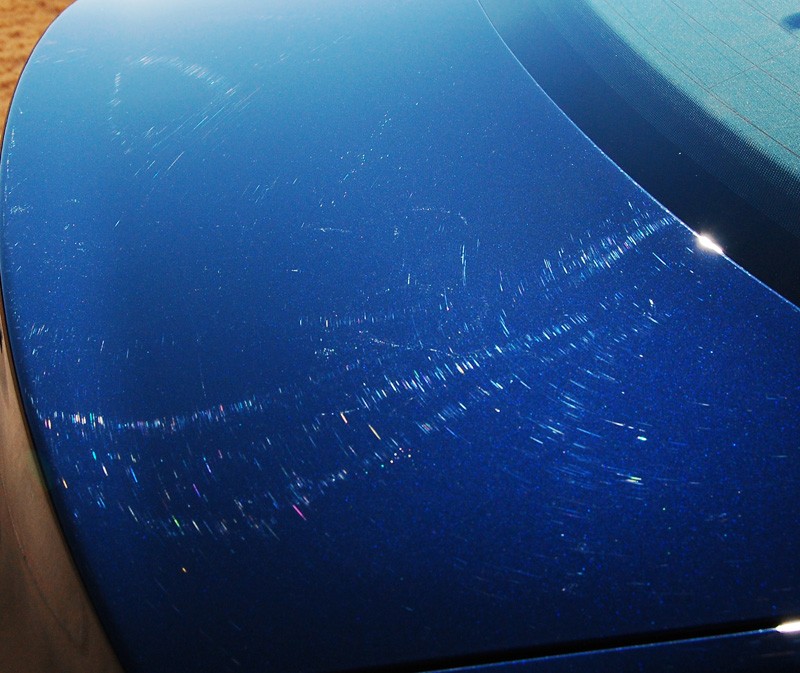 Trunk2