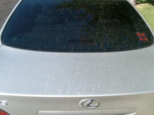Trunk_Before1