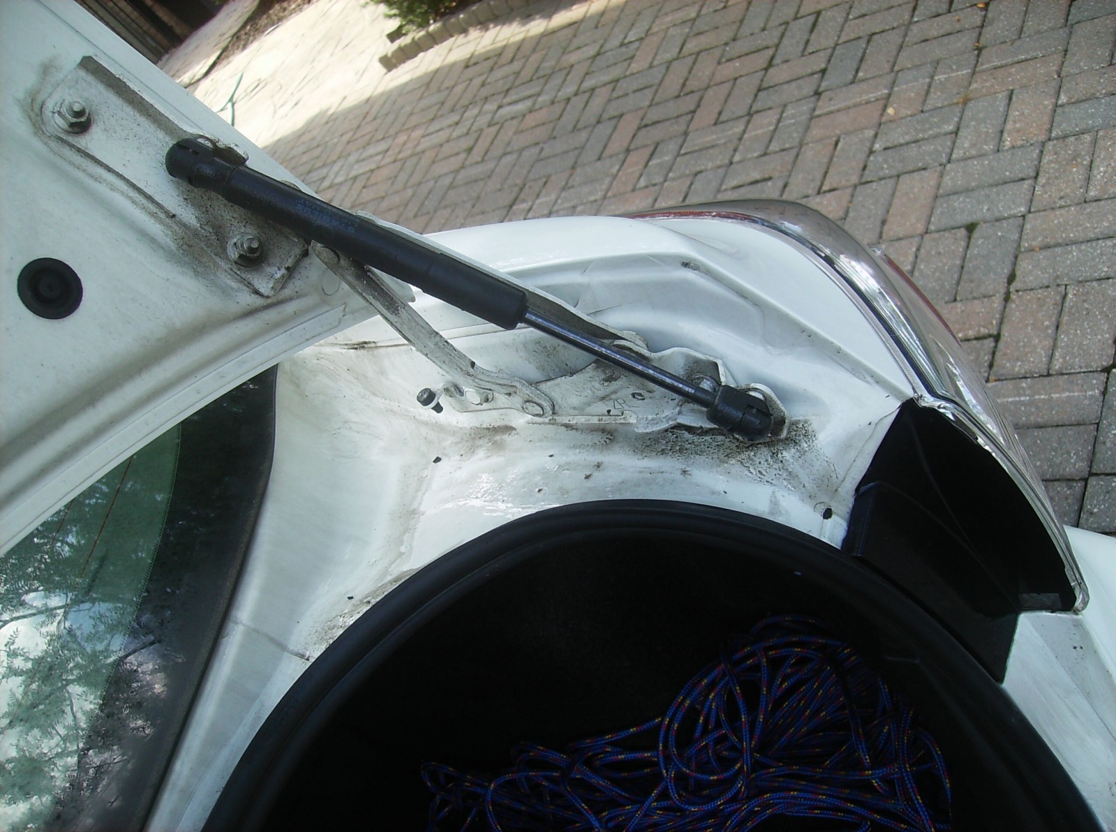 trunk_before2