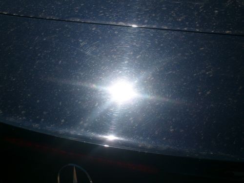 trunk_before_1_
