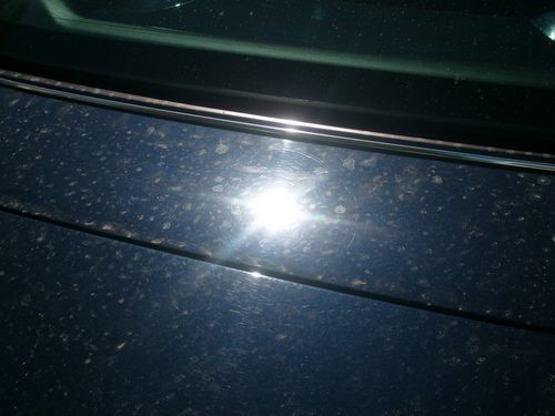 trunk_before_2_