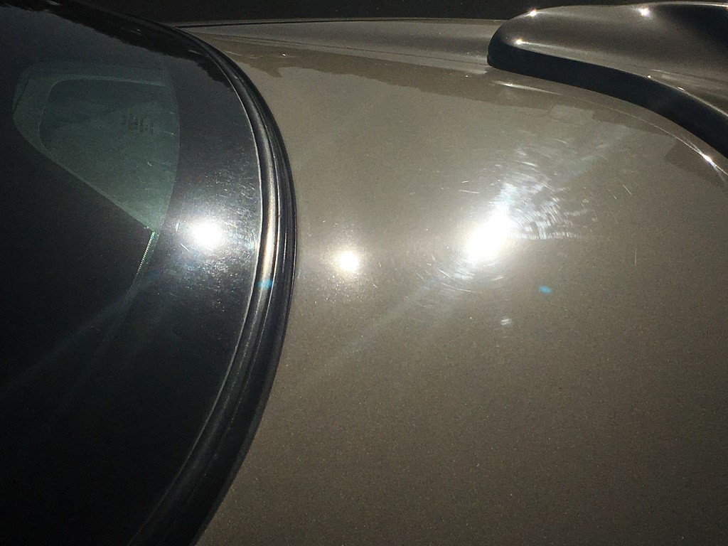 Trunk_Defects_Daylight