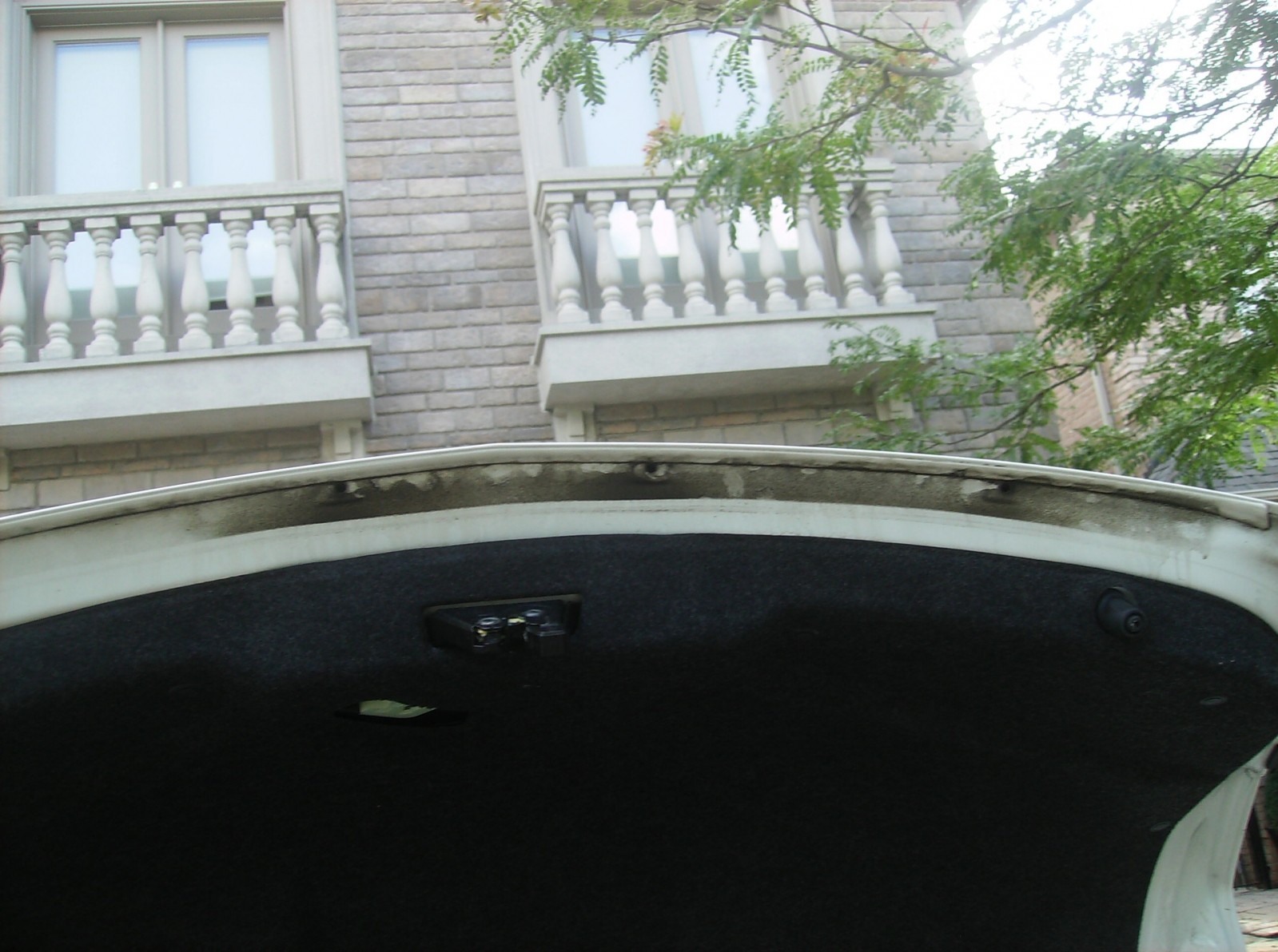 trunk_lip