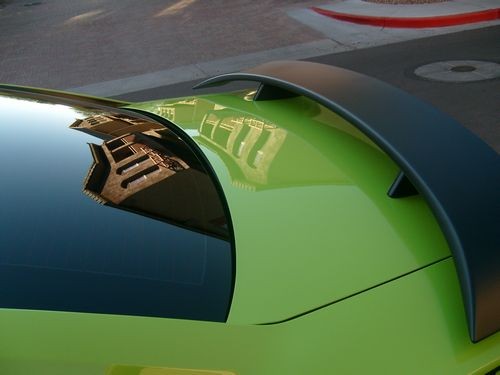 Trunk_reflection