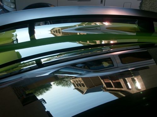 Trunk_reflection_2_