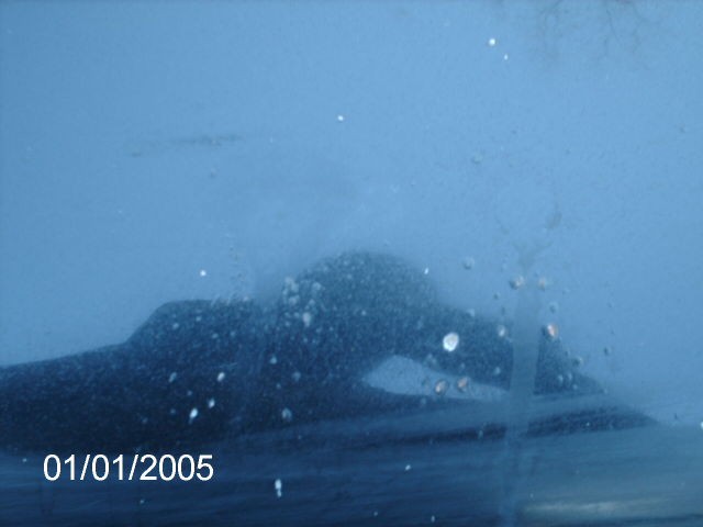 trunklid before