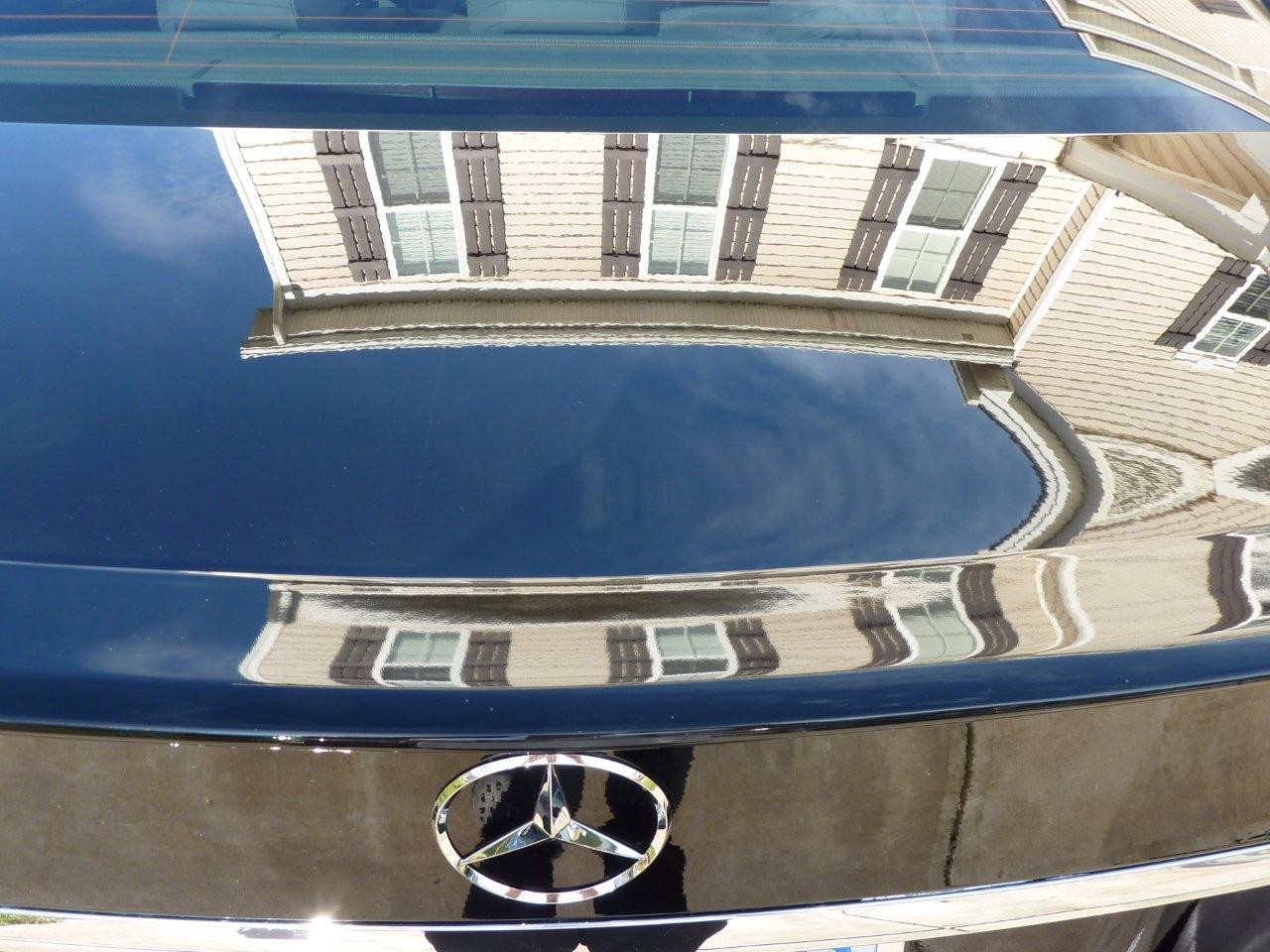 TrunkReflection